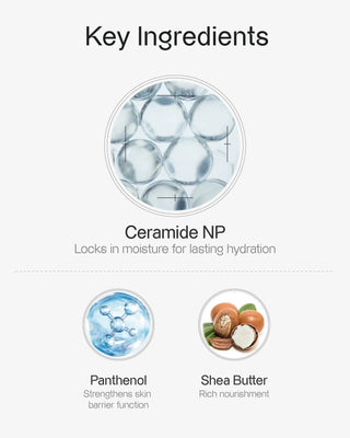 Peptide Recovery Cream